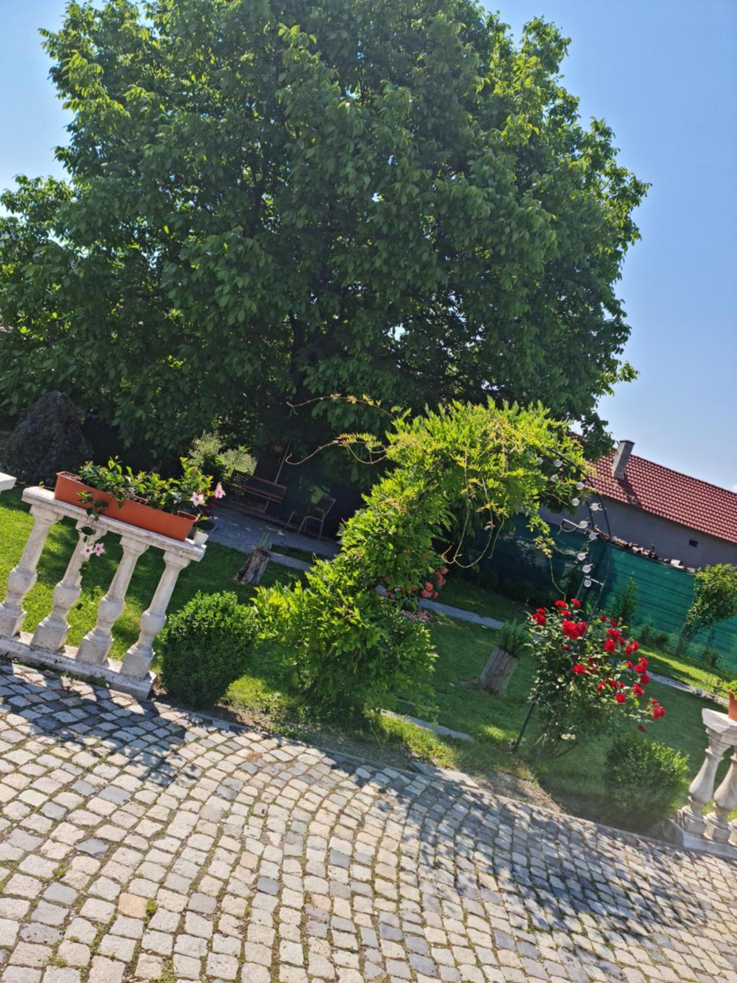 Pensiunea Baroc Dobirlau Екстер'єр фото